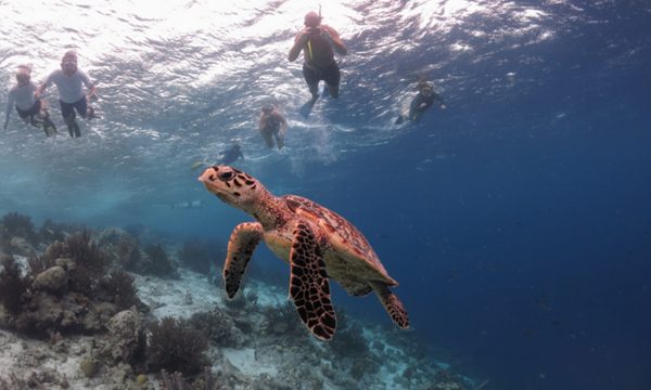Bonaire